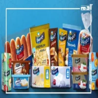 شركة دومتي تشعل البورصة المصرية بعرض استحواذ يكشف الحقائق 1 شركة دومتي من المحلية للعالمية
