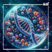 رحلة داخل المادة الوراثية DNA.. أسرار لا تعرفها عن جسدك 2 تعبئة المادة الوراثية DNA