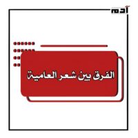 شعر العامية.. إبداع يعبر حدود الفصحى وينبض بالحياة 1 الفرق بين شعر العامية وما يشبهه من أنواع الشعر الأخرى
