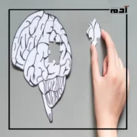 النساء لا تنسى.. مقارنة تحليلية بين ذاكرة المرأة والرجل 2 أثر الإجهاد والضغوط النفسية على ذاكرة المرأة وذاكرة الرجل
