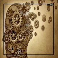 محو التعلم.. إعادة تشكيل العقل وتحريره 3 استراتيجيات محو التعلم