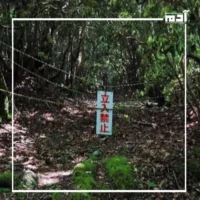 غابة أوكيغاهارا.. أسرار رعب غامضة في قلب اليابان 2 أسرار مخيفة داخل غابة أوكيغاهارا