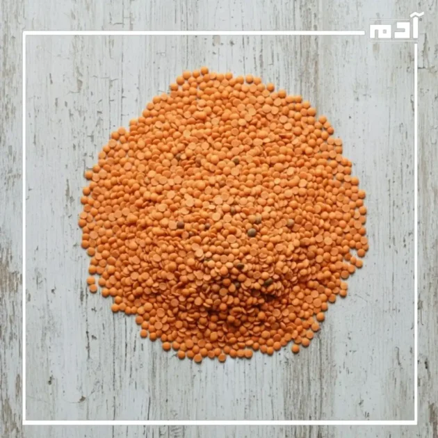 فوائد العدس الغذائية للصحة