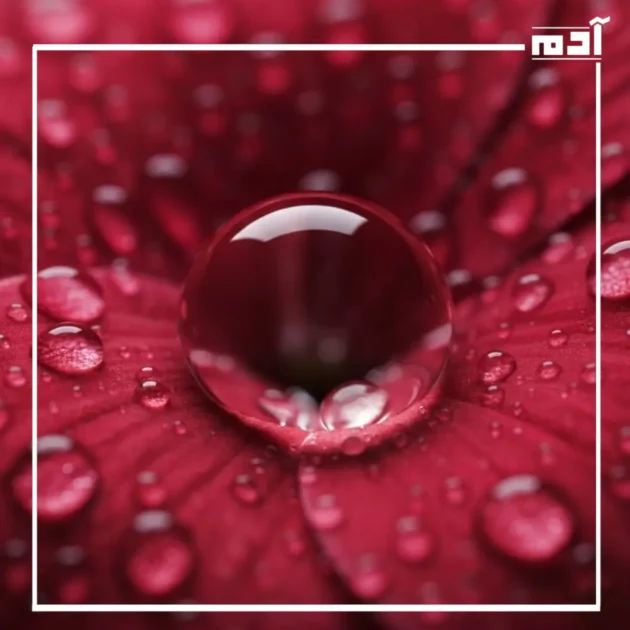 القرمزية